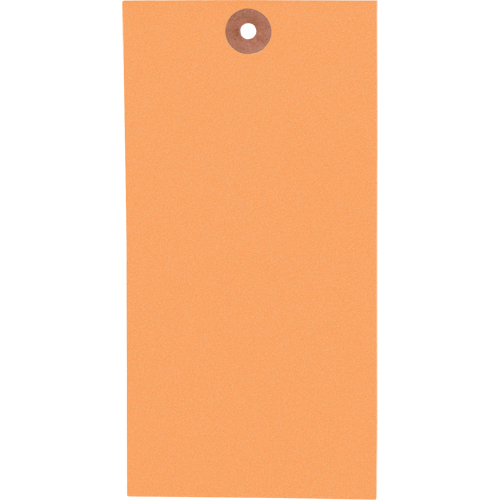 Coloured Blank Tags, Tyvek, 3-1/8" W x 6-1/4" H -  