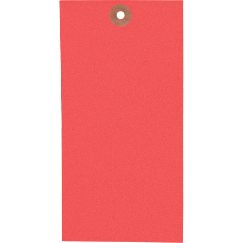 Blank Tags, Tyvek, 3-1/8" W x 6-1/4" H -  