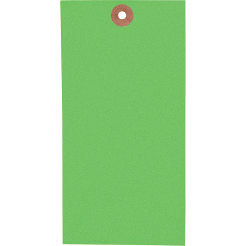 Blank Tags, Tyvek, 3-1/8" W x 6-1/4" H -  