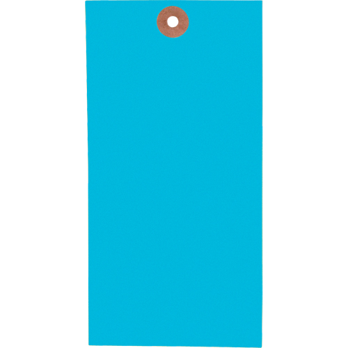 Blank Tags, Tyvek, 3-1/8" W x 6-1/4" H -  