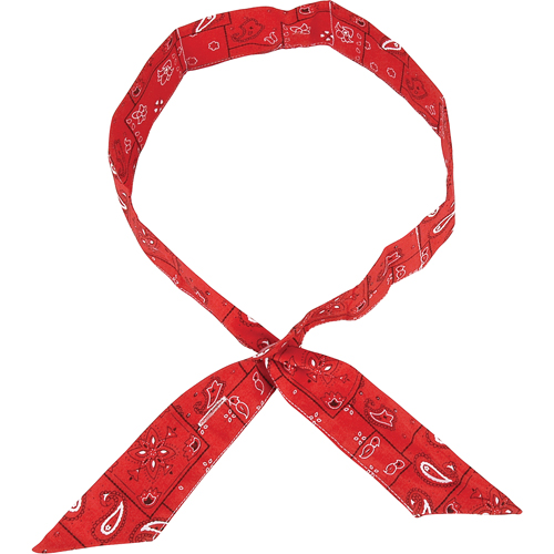 ALLEGRO INDUSTRIES Cool Offs Bandana, Red - Walter Surface Technologies 8405-50