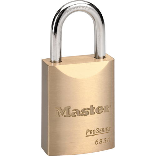 Cadenas ProSeries, Argent, Cl&eacute;s diff&eacute;rentes, Rev&ecirc;tement en laiton, Largeur de 1-9/16" - Master Lock 6830