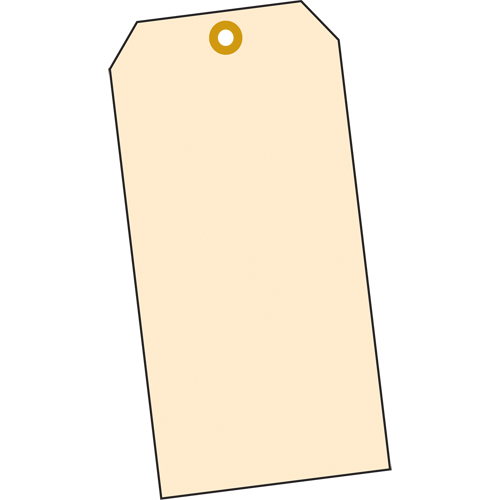 Manila Blank Tags, Cardstock, 1-3/8" W x 2-3/4" H - Accuform NMC TBB111P