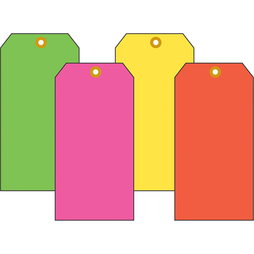 Fluorescent Blank Tags, Cardstock, 2-5/8" W x 5-1/4" H - Accuform NMC TBB616FRP