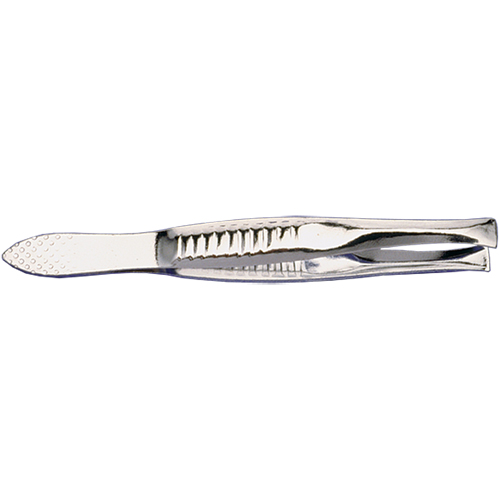 Economy Splinter Forceps -  