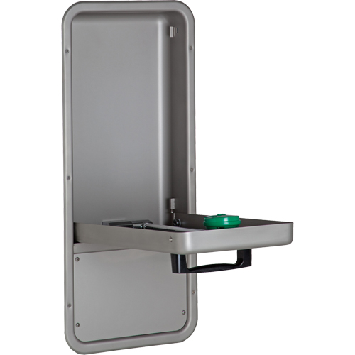 Eye/Face Wash Station, Wall-Mount Installation, Stainless Steel Bowl - Haws 7656WCC