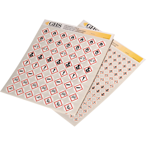 Assortiment d'&eacute;tiquettes avec pictogrammes sgh, Vinyle, Feuille, 1/2" lo x 1/2" la - Incom Top Tape & Label GHS1300