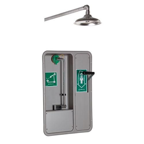 ADA Eye/Face Wash and Shower, Ceiling-Mount - Haws 8355WCW