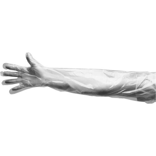 Disposable Gloves, Large, Polyethylene, 9-mil, Powdered, Clear - Almedic 40-4000