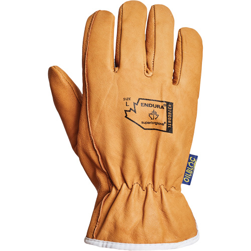 Gants de conducteur Endura, T-Grand, Paume en Cuir fleur de ch&egrave;vre, Thinsulate - Superior Glove Works Ltd. 378GOBTL-XL