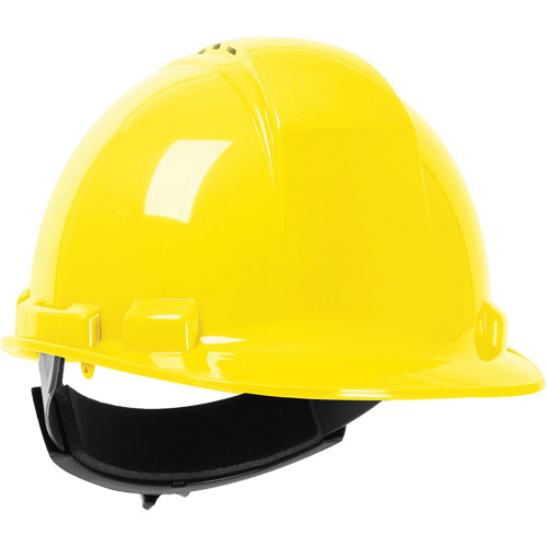 Casque de s&eacute;curit&eacute; Whistler de North, R&eacute;pond aux normes CSA type 1, Suspension Rochet, Ventil&eacute; - PIP Global Safety HP241RV-02