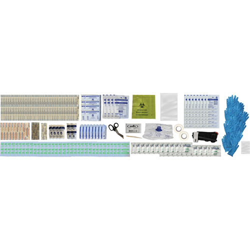 Shield First Aid Kit, Meets/Exceeds CSA Z1220-24 Type 2 Low-Risk Environment, Large (51-100 Workers) - Dentec 81CSA24-0004-1