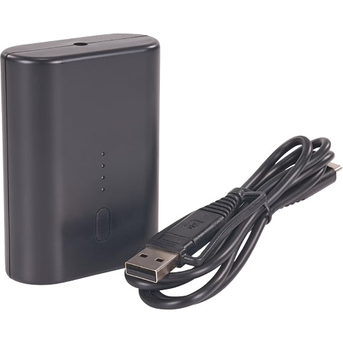 Batterie externe portative N-Ferno avec cordon USB-C - Ergodyne 41801