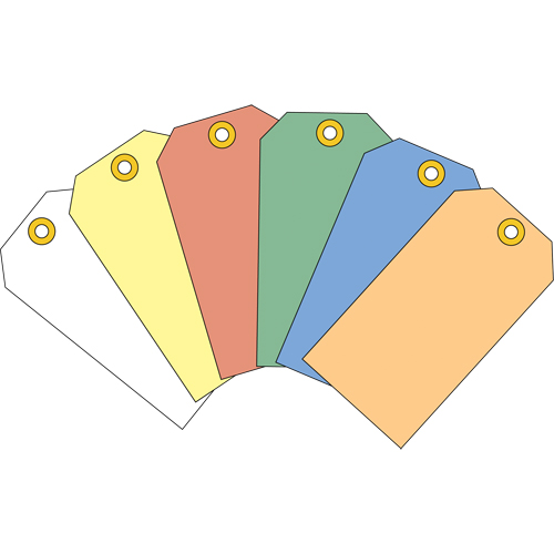 Coloured Blank Tags, Cardstock, 2-3/8" W x 4-3/4" H -  
