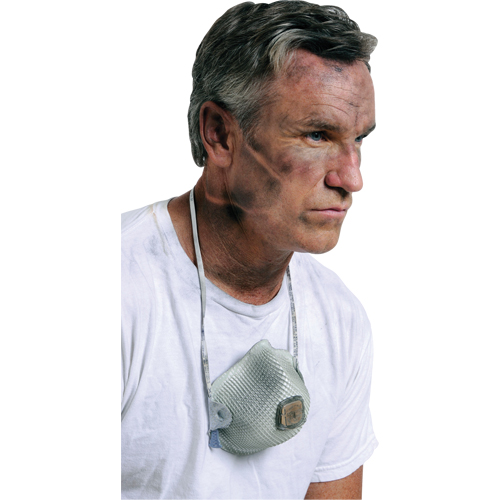 2700 Particulate Respirators, N95, NIOSH Certified, Large/Medium - Moldex 2700N95