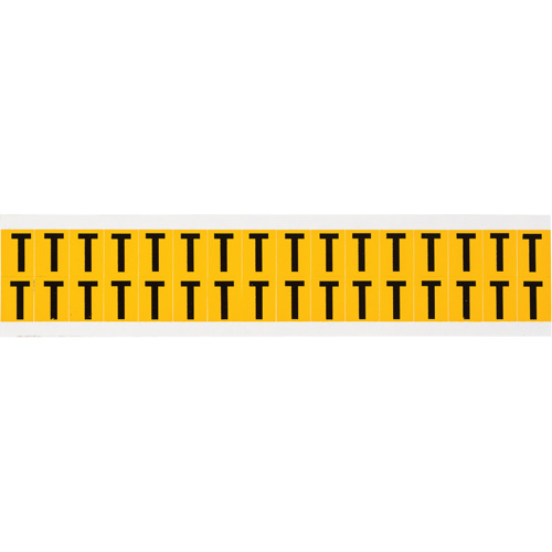 Individual Number & Letter Labels, T, 5/8" H, Black on Yellow - Brady 1520-T