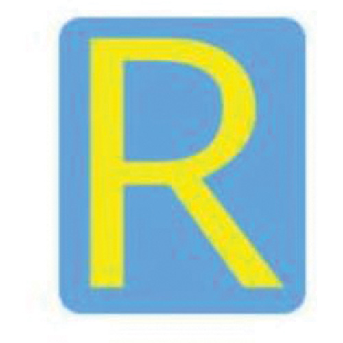 Quick-Align&reg; Individual Gothic Number & Letter Labels, R, 3" H, Yellow - Brady 5110P-R