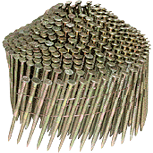 Clous ordinaires - Canadian Industrial GD25APBF