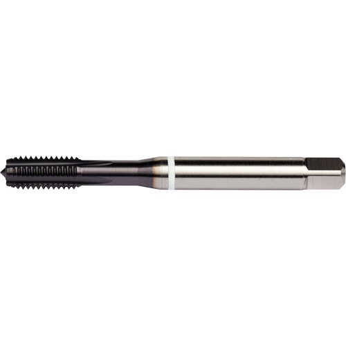 White Shark Straight Flute Tap, High Speed Cobalt, 1/4"-20 Thread - Dormer 7350203