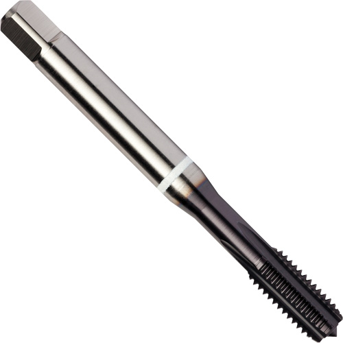 White Shark Straight Flute Tap, High Speed Cobalt, 1/4"-20 Thread - Dormer 7350203