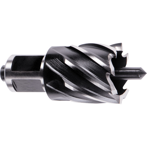 Couteau annulaire &agrave; tige Weldon, Diam&egrave;tre de 1", Acier rapide, Profondeur de la coupe de 1", Tige 3/4" - Milwaukee 49-59-1000