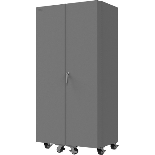 Empty Mobile Cabinet - Durham Manufacturing DCM36-BDLP-95