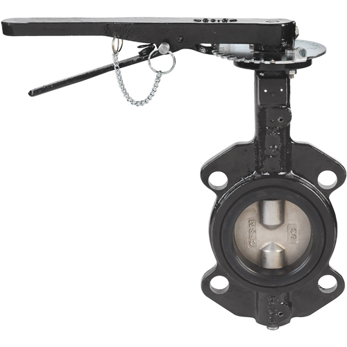 Butterfly Valves - Series BFV, 2-1/2" Pipe, 225 PSI - Dwyer WE20-BHD00-WP