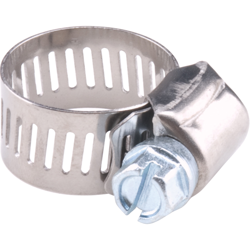 Hose Clamps - Stainless Steel Band & Zinc Plated Screw, Min Dia. 1", Max Dia. 2" - Dominion DHC6-24