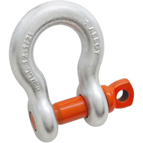 Forged Alloy Steel Anchor Shackle - Campbell 5411695