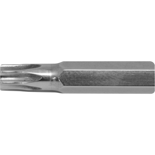 Embout de rechange pour tournevis multi embouts Stubby, Torx, 10, Prise 1/4" - Picquic IBT21210