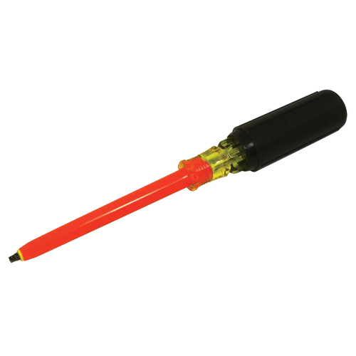 Tournevis &agrave; pointe carr&eacute;e - Gray Tools RB223-I