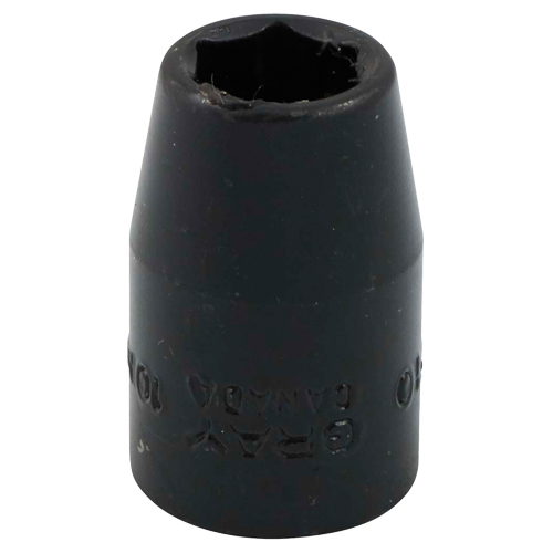 Douille, Chocs, 10 mm, Prise 3/8", 6 pans - Gray Tools MTP10