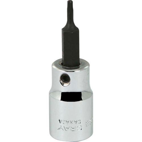 Bit Socket, Torx&reg;, T8 x 2-1/8" L, 3/8" Drive - Gray Tools T608