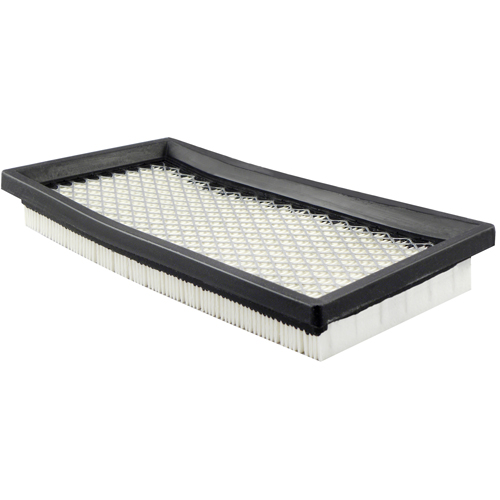 PA2138 &eacute;l&eacute;ment de filtre &agrave; air - Baldwin Filters PA2138