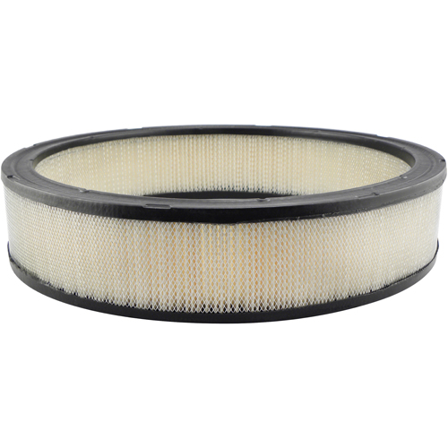 PA2002 Air Filter Element - Baldwin Filters PA2002