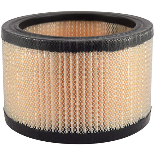 PA652 Air Element - Baldwin Filters PA652