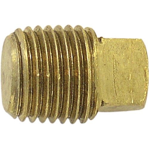 Bouchon de tuyau (t&ecirc;te carr&eacute;e), 3/4" dia., Laiton - Topring 41.690