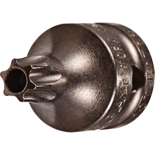 Embout &agrave; ins&eacute;rer, Torx inviolable, 27 x 3/4" lo, Prise 1/4" - Vega 120TT27SB