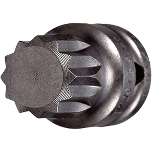 Socket Bit, Triple Square, 8 x 3/4" L, 1/4" Drive - Vega 120XZN08SB