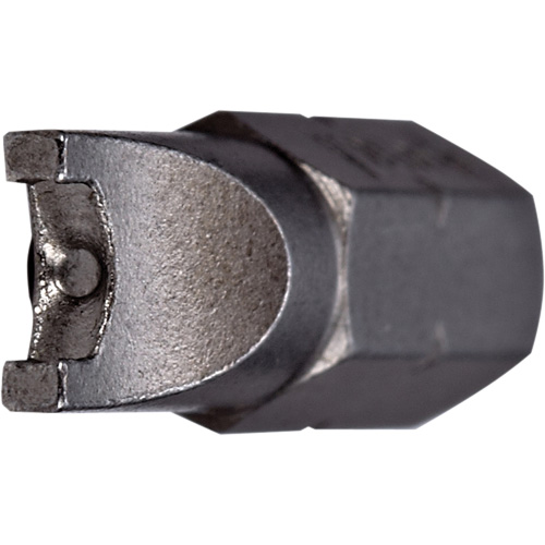 Insert Bit, Spanner Head, #8, 1/4" Drive - Vega 125SP08A