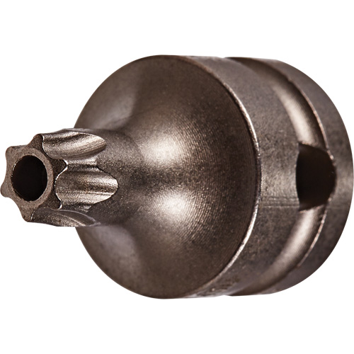 Socket Bit, Torx&reg; Tamper, 25 x 1" L, 3/8" Drive - Vega 228TT25SB