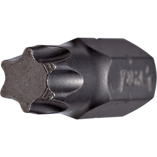 Insert Bit, Torx, 40, 5/16" Drive - Vega 230T40A