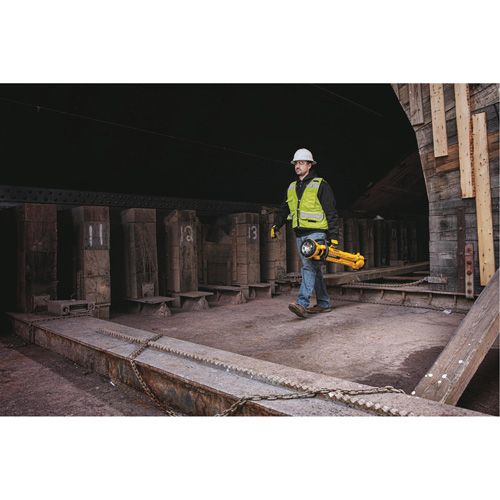 Lampe sans fil sur tr&eacute;pied 20V Max, DEL, 3000 lumens, Boîtier en Plastique - DEWALT DCL079B