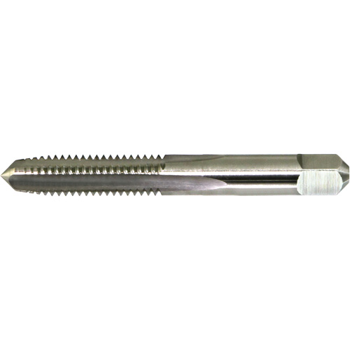 DRILLCO Hand Tap, Carbon Steel, 2-56 Thread - Walter Surface Technologies 20C002CT