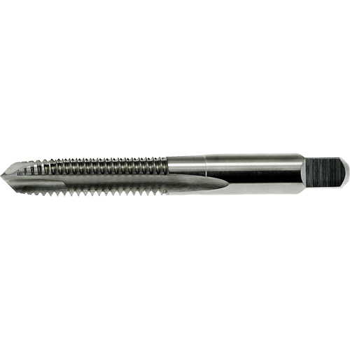 DRILLCO Spiral Point Tap, High Speed Steel, 7/16"-20 Thread, 3-5/32" L - Walter Surface Technologies 21E128FP