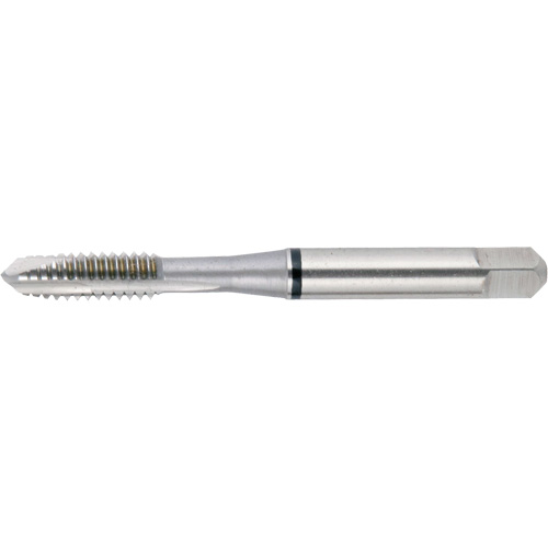 Taraud &agrave; pointe spiral&eacute;e Nitro DRILLCO, Acier rapide, Filet de 12-28 - Walter Technologies Pour Surface 21PS012F