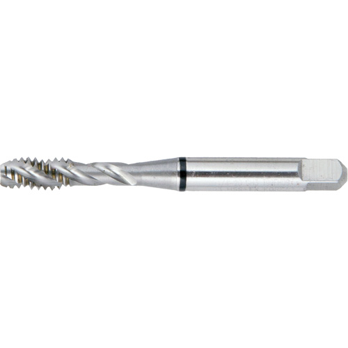 Taraud &agrave; main &agrave; cannelure spiral&eacute;e DRILLCO, Acier rapide, Filet 4-48 - Walter Technologies Pour Surface 20F004FB