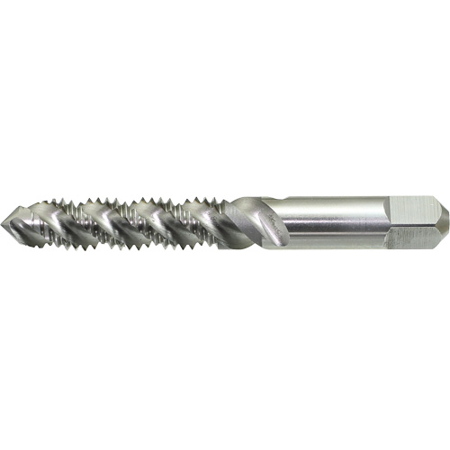 Taraud &agrave; main &agrave; cannelure spiral&eacute;e Drillco, Acier rapide, Filet 12-28 - Walter Technologies Pour Surface 20F012FP