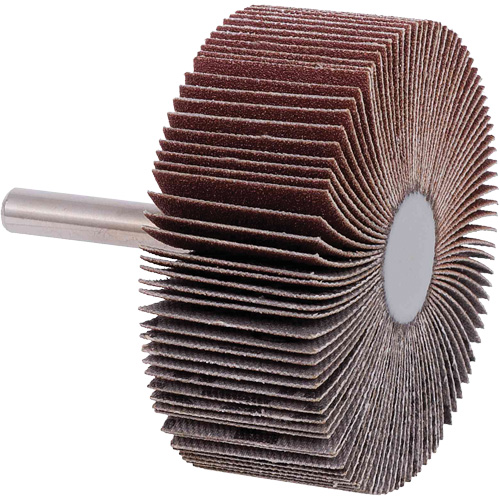 Disques &agrave; lamelles, Grain 40, 2-1/2" x 1" - JET 560271