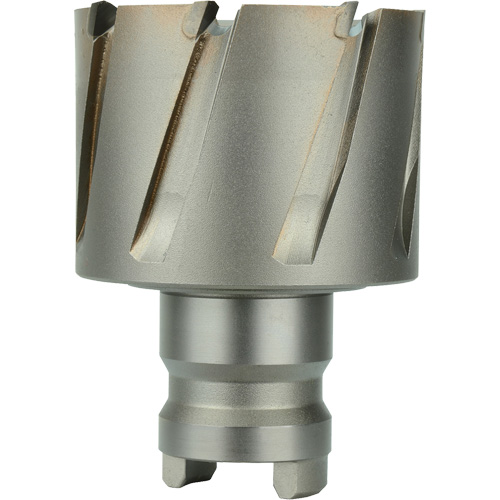 Fraise avec tenon &agrave; changement rapide Drive Hawg, Diam&egrave;tre de 3/4", Acier, Profondeur de la coupe de 1" - Milwaukee 49-57-0752